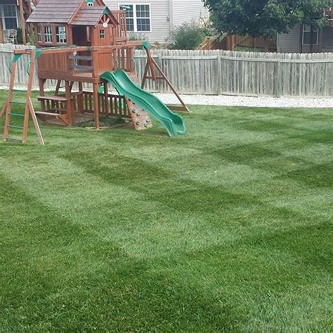 Lawn care columbia mo. Things To Know About Lawn care columbia mo. 